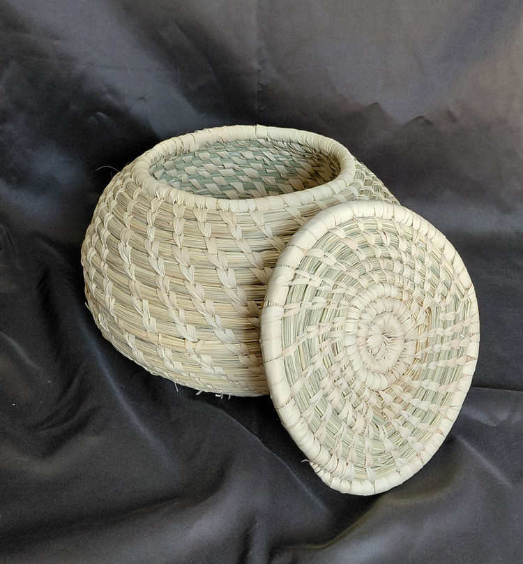 جا برنجی حسیری